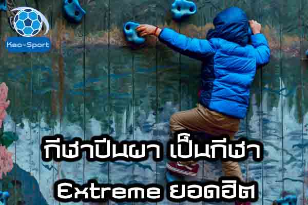 กีฬาปีนผา เป็นกีฬา Extreme ยอดฮิต