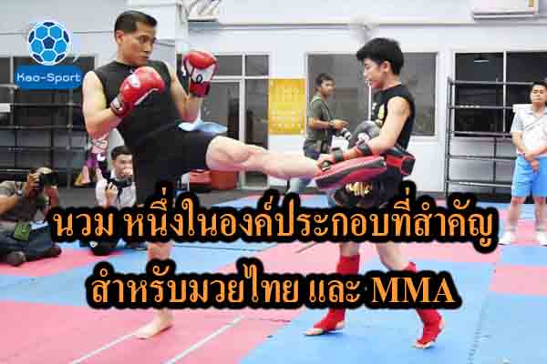 นวม หนึ่งในองค์ประกอบที่สำคัญสำหรับมวยไทย และ MMA